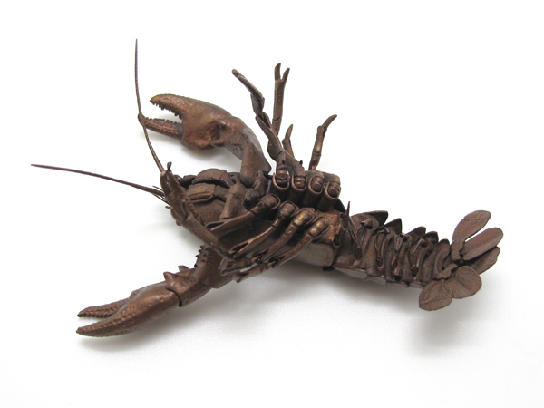 自在置物標本箱 ニホンザリガニ＜メス＞