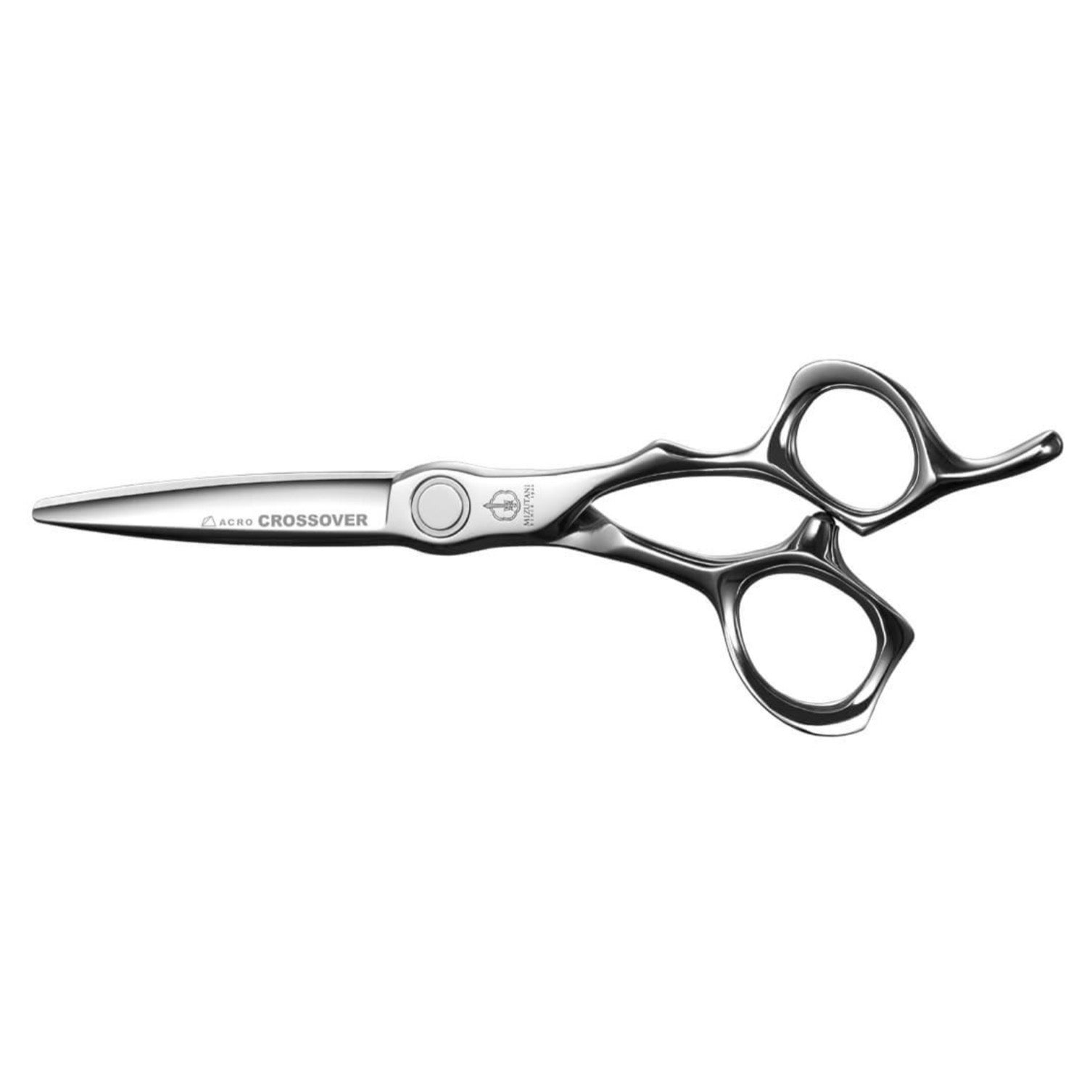 ミュージック PERSONZ MANIA 20111016 ミュージック PERSONZ MANIA