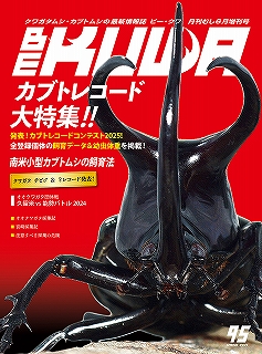 折りたたみポスター希少！ 海外カブトムシ＆クワガタ昆虫図鑑付録 昭和