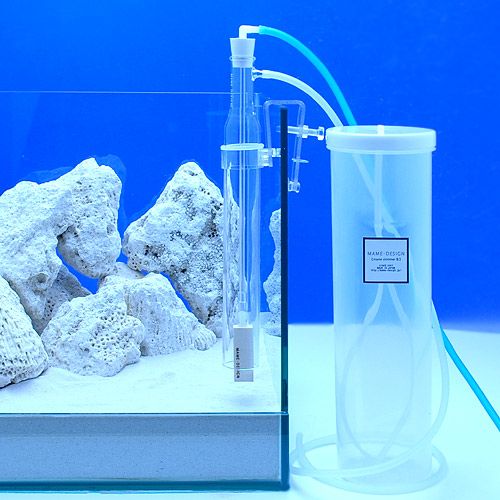 設置画像【チャーム】マメスキマー3