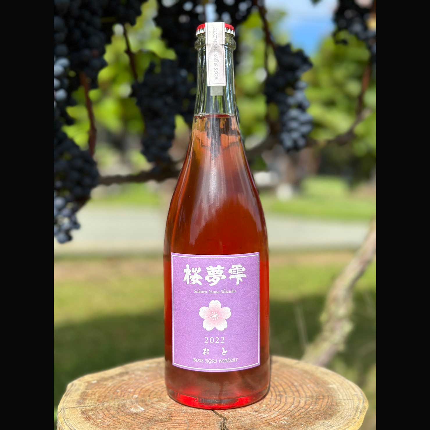 KIRIN Bouquet d'Amour 赤ワイン 750ml KIRIN Bouquet d'Amour