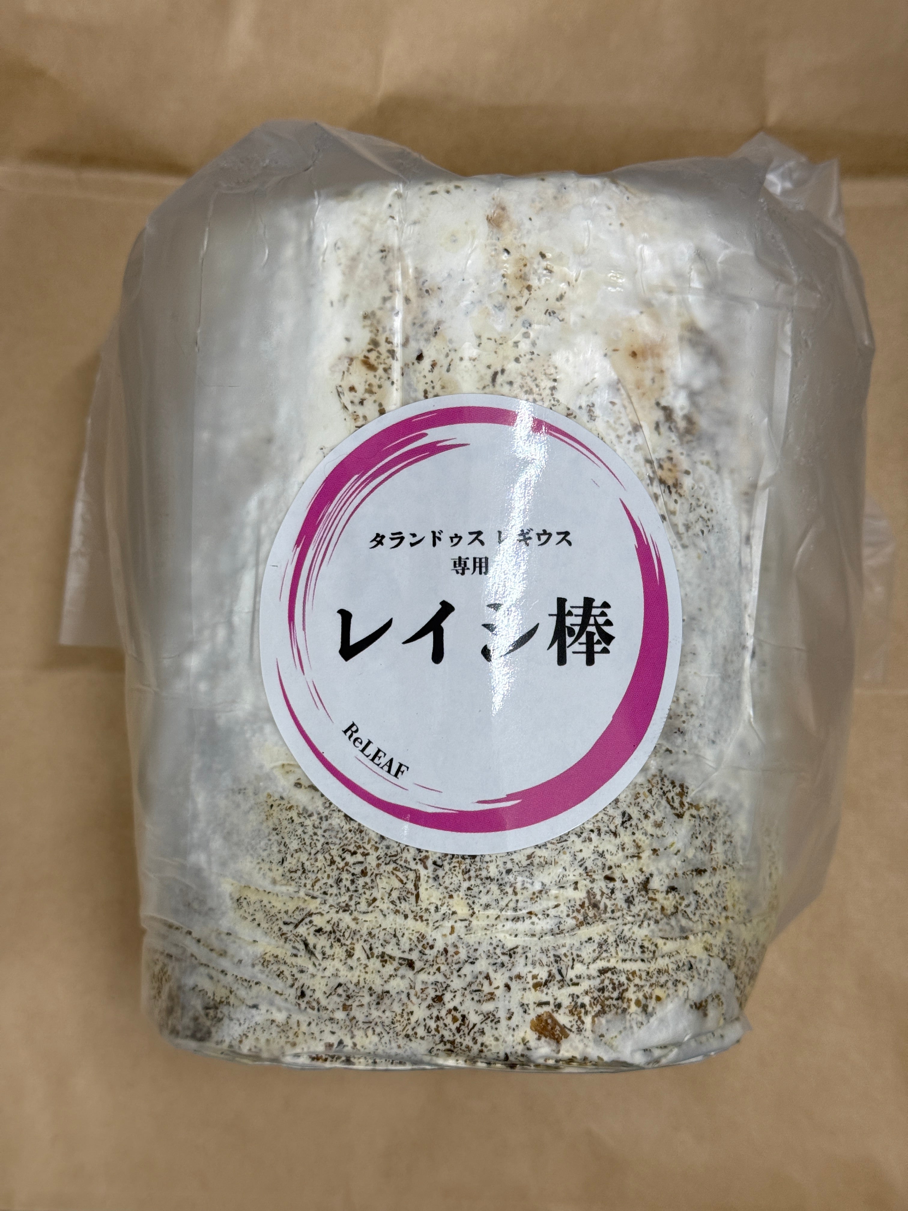 10本！ L×5本 M×5本 クヌギ 土埋め レイシ 霊芝 産卵材 柔らか