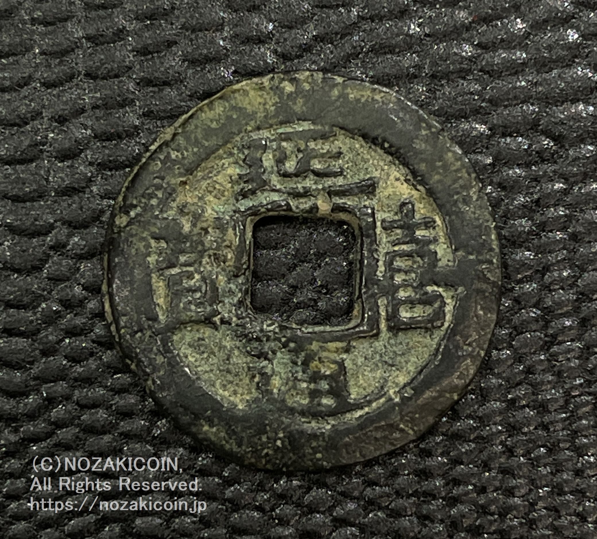 IMG_6518.jpg?v=1709800697