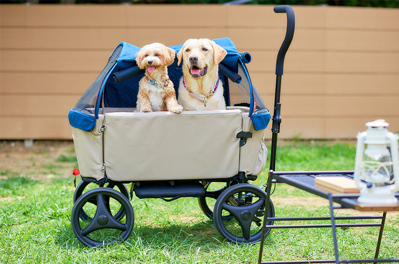 ペットと一緒にアウトドアを楽しみたい飼い主さんにおススメ