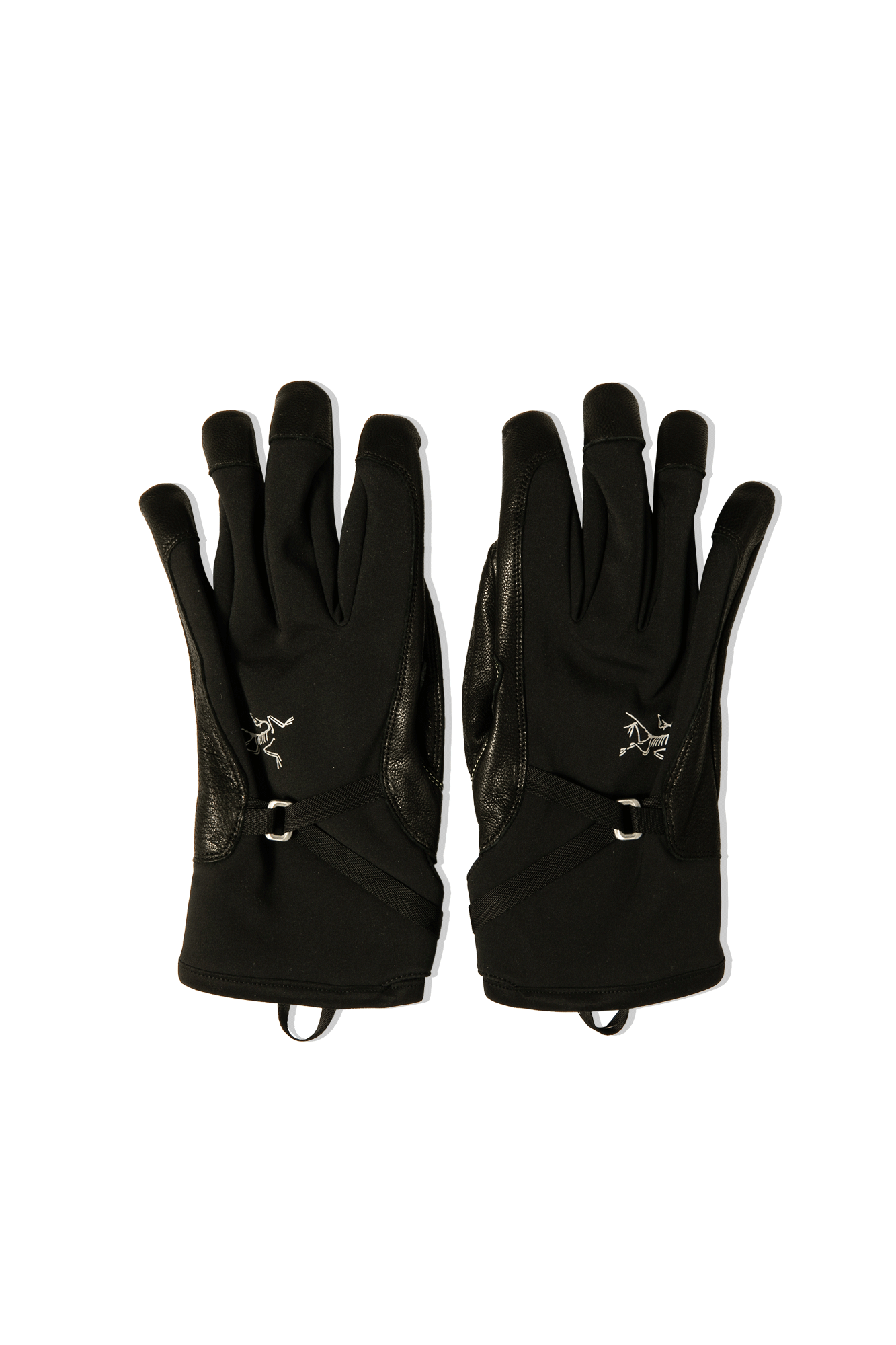 ARC'TERYX(アークテリクス) ALPHA SL GLOVE ゴアテックス Arc'teryx