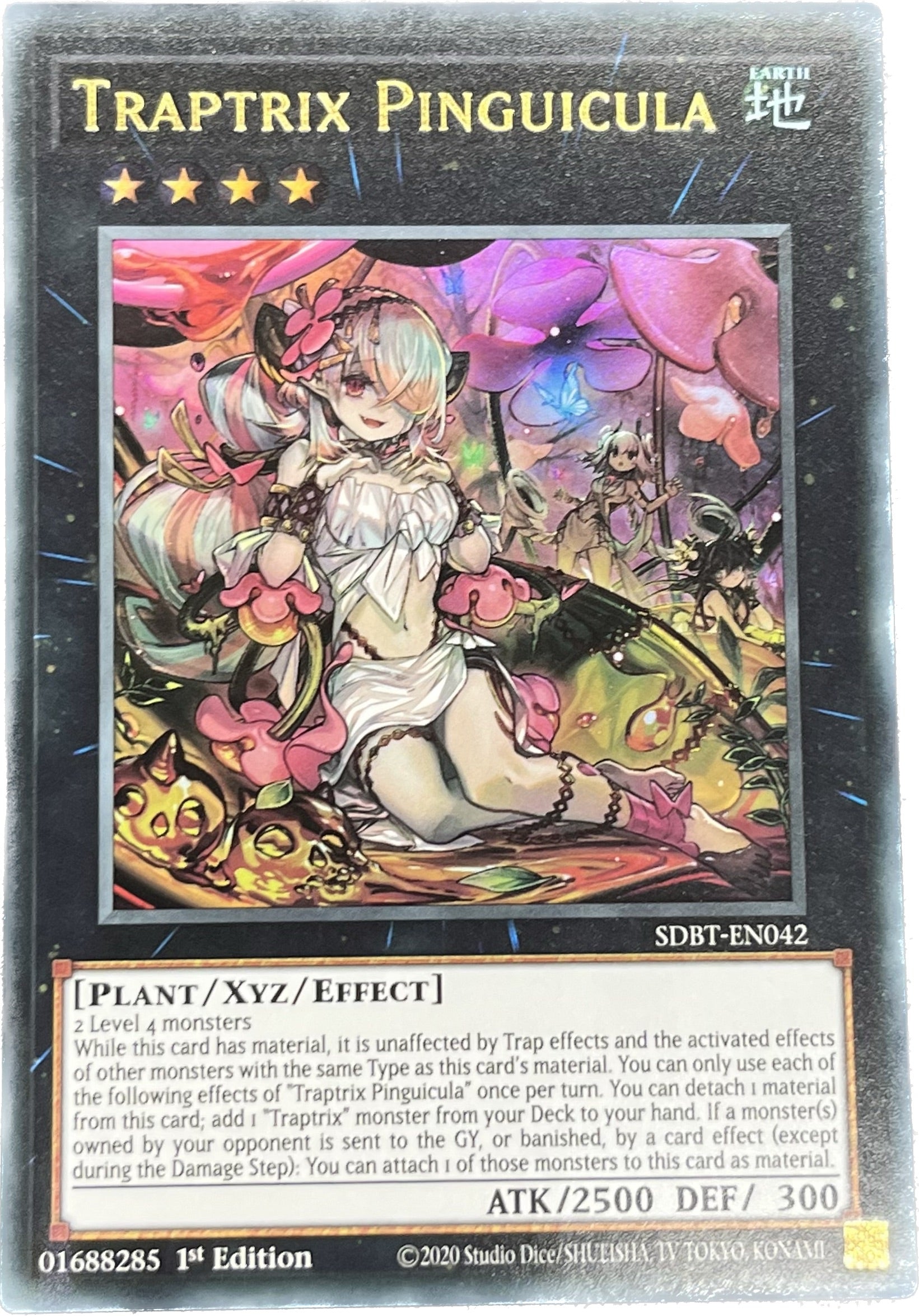 PSA10 遊戯王 シトリスの蟲惑魔 PSA10 遊戯王 シトリスの蟲惑魔 Amazon.co.