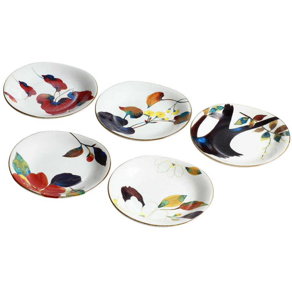 和食器 色絵 カブ形 銘々皿 五客 時代箱 V 8440 【公式通販】