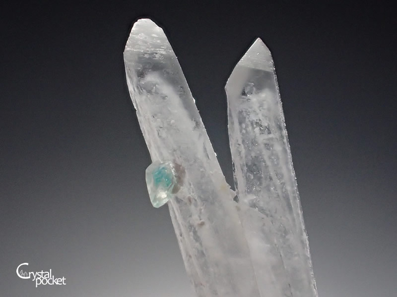 HENMILITE PENTAHYDROBORITE 逸見石 五水灰硼石 布賀鉱山 - クリスタル