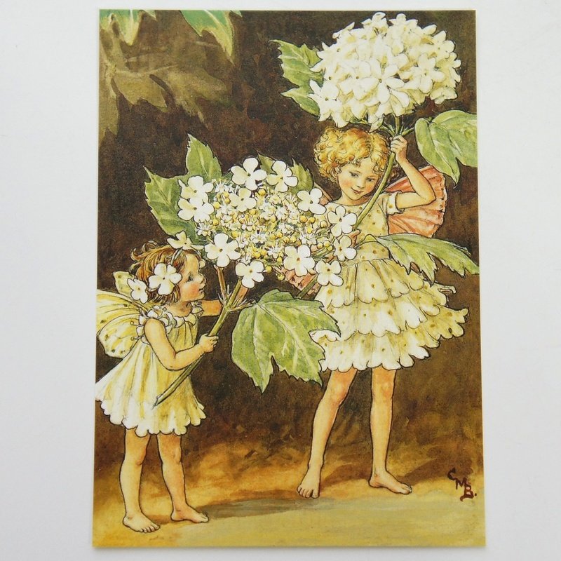 フラワーフェアリーズ ポストカード The Guelder Rose Fairies