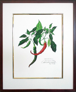 玉村豊男 版画 【収穫された三つの桃】 フランジェリコwebショップ