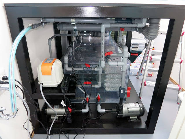 大型オーバーフロー水槽用 濾過槽 W1200xD600xH450（555） 厚さ6mm