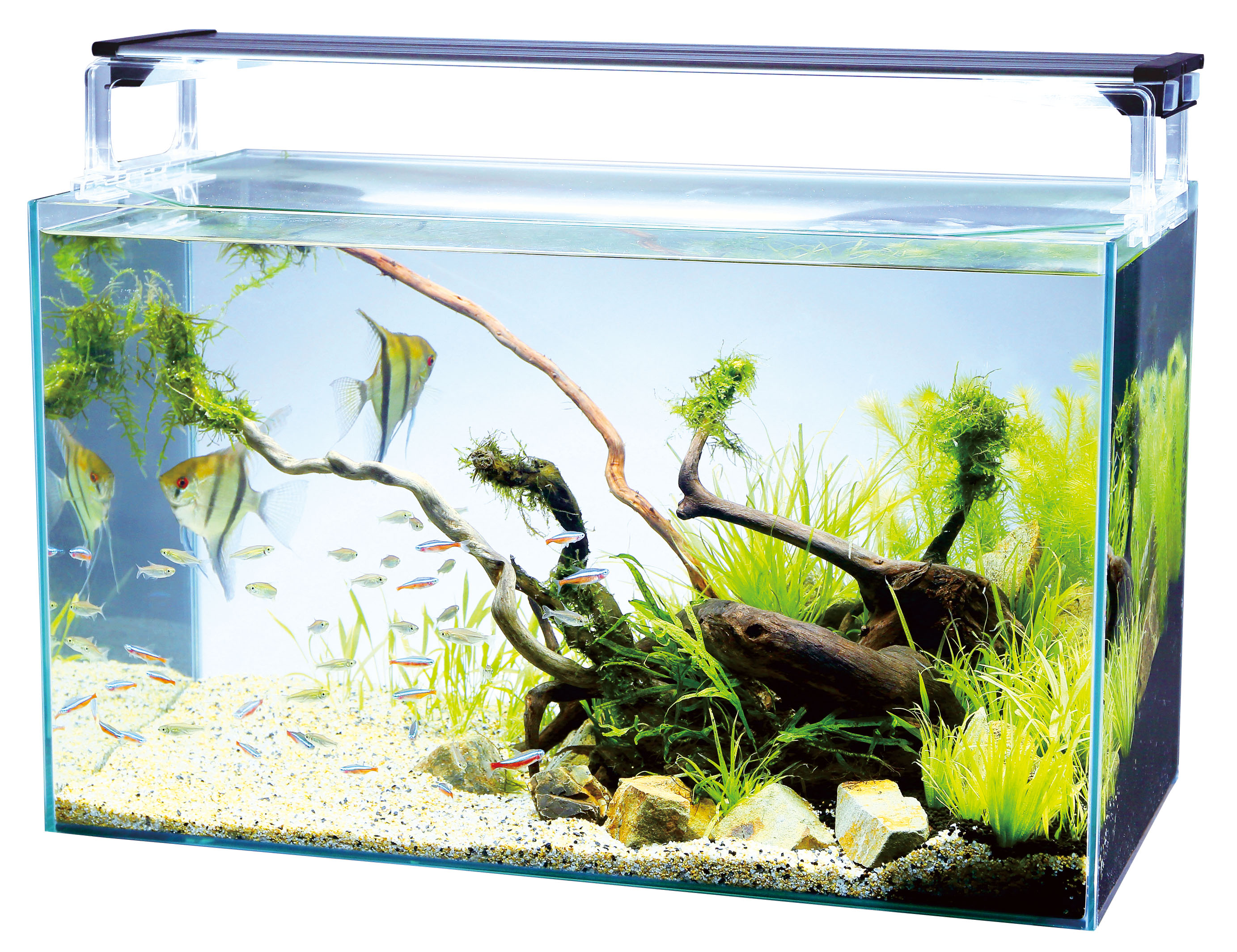 水草育成ライト コトブキ FLAT LED 600 TWIN 2550lm 水草育成ライト