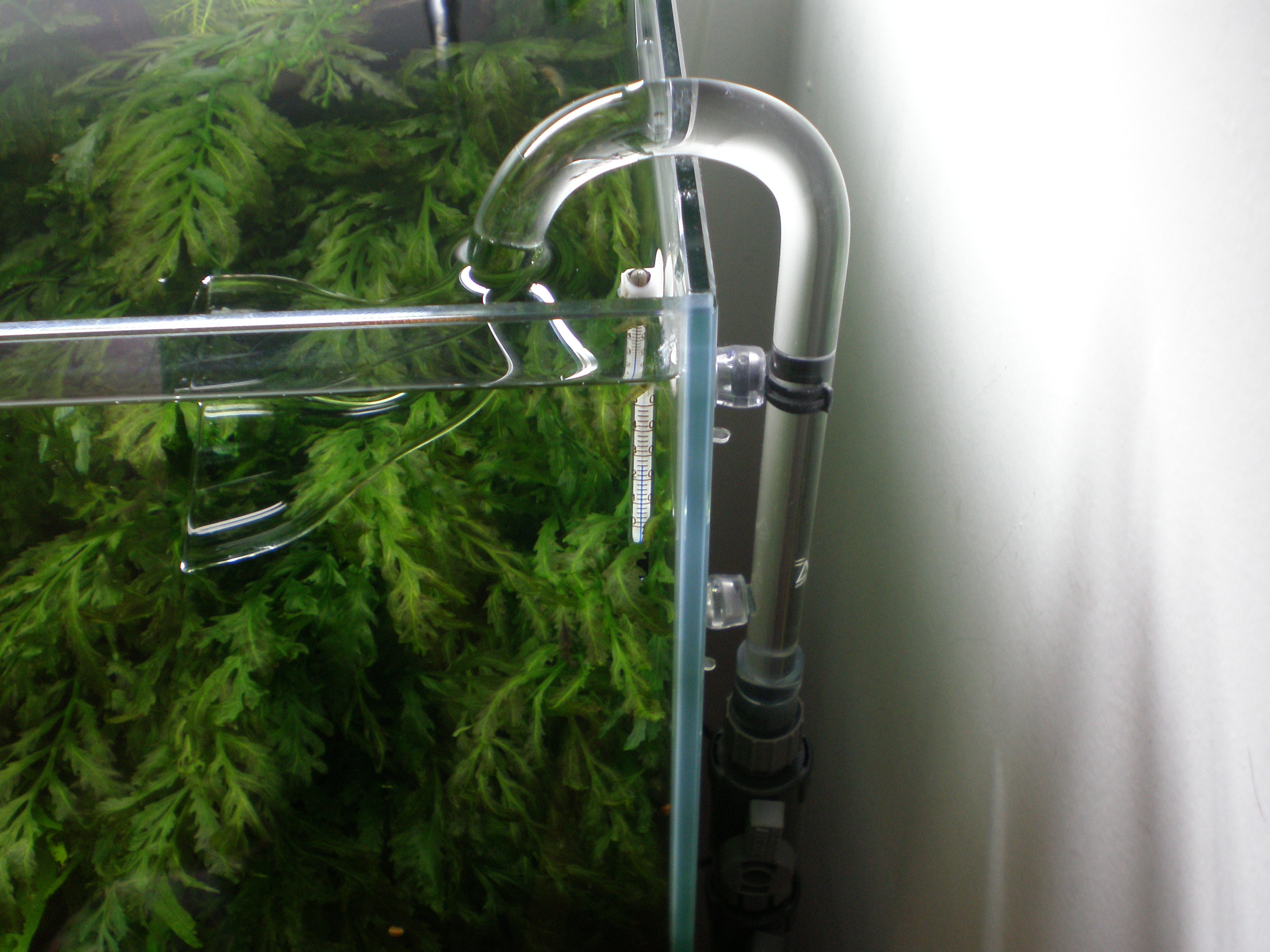 ADA LILY PIPE リリーパイプ・シリーズ P4 ADA LILY PIPE リリーパイプ