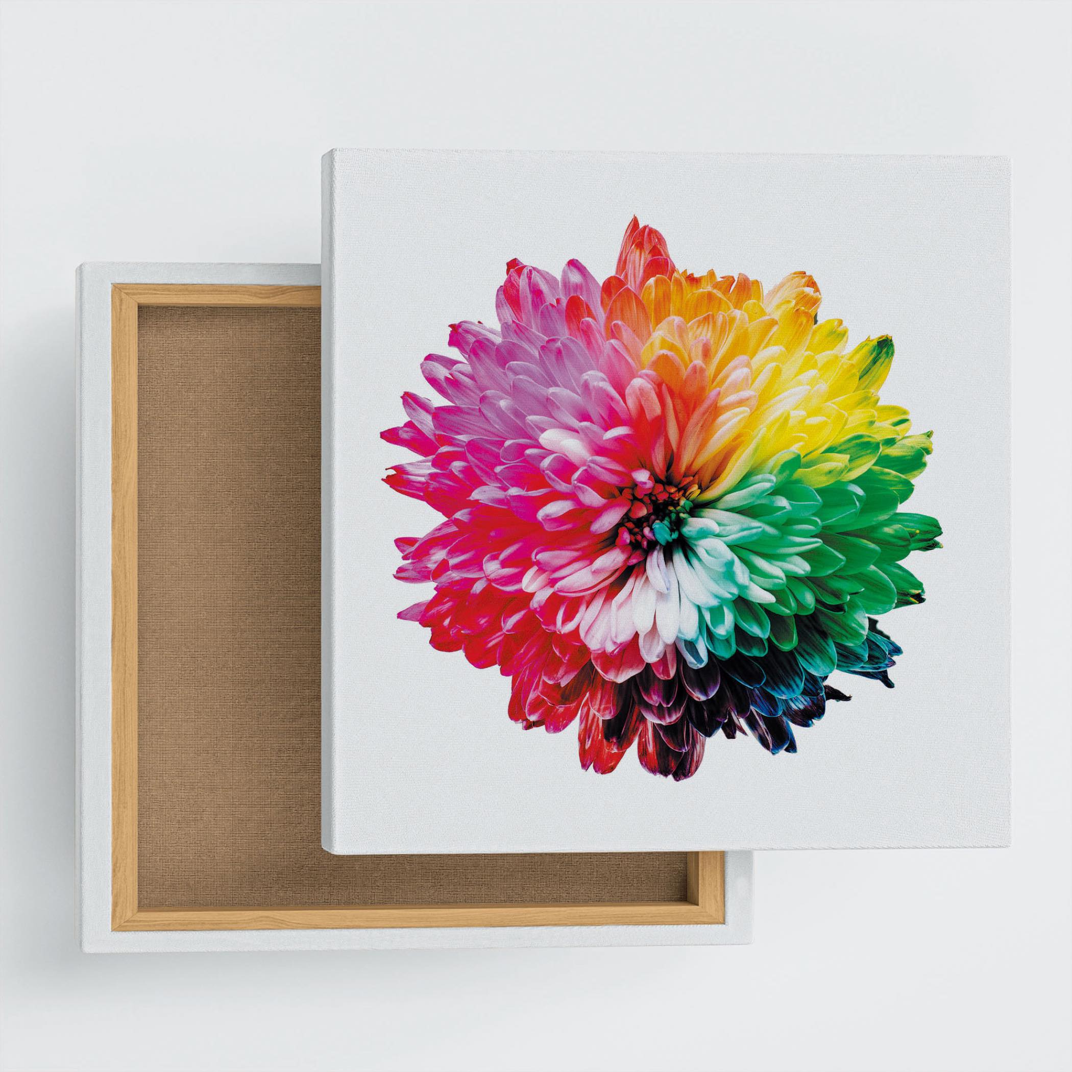 キャンバス油絵 専用 カラフルなお花とモノトーンの食器があるテーブル