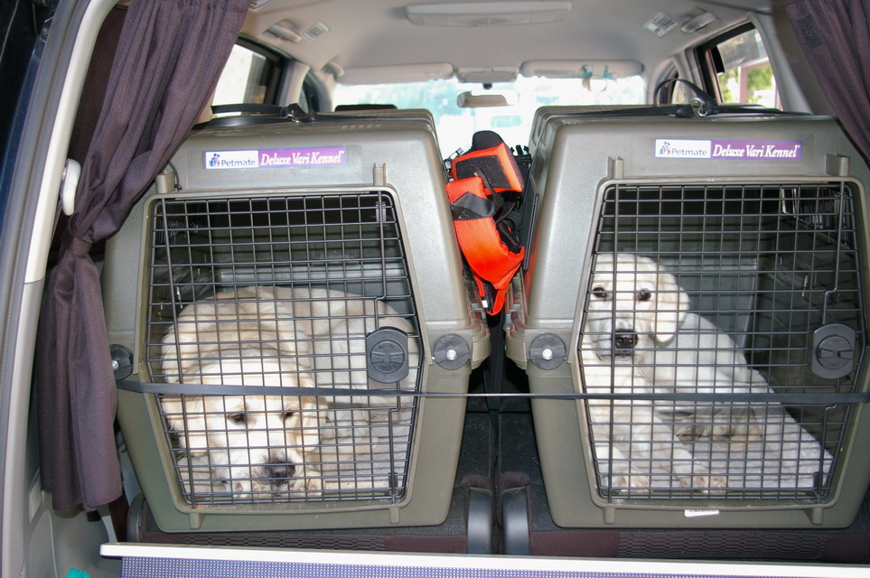 バリケンネル 大型犬ケージ 大型犬用 クレート 【ウルトラバリケンネル】