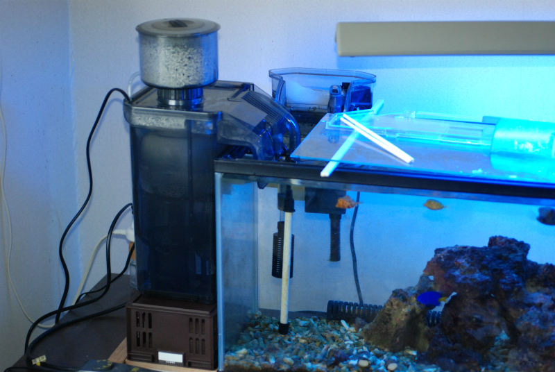 海道達磨 プロテインスキマー 海道達磨プロテインスキマー：海道