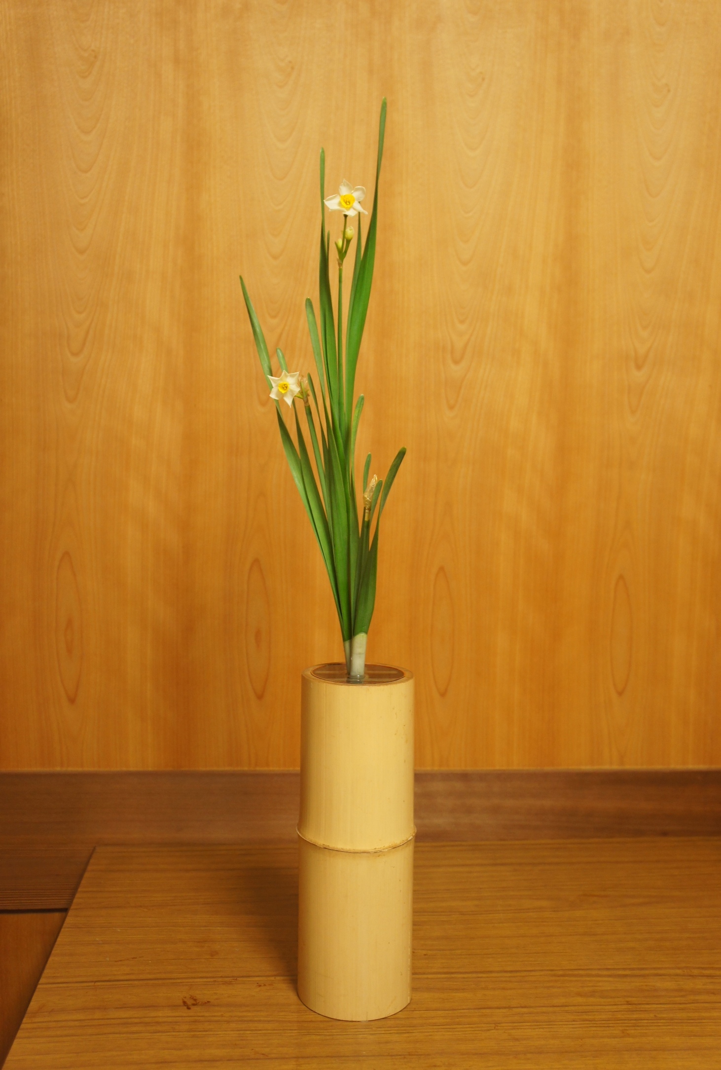 水仙 3本生け | 池坊いけばな・花教室