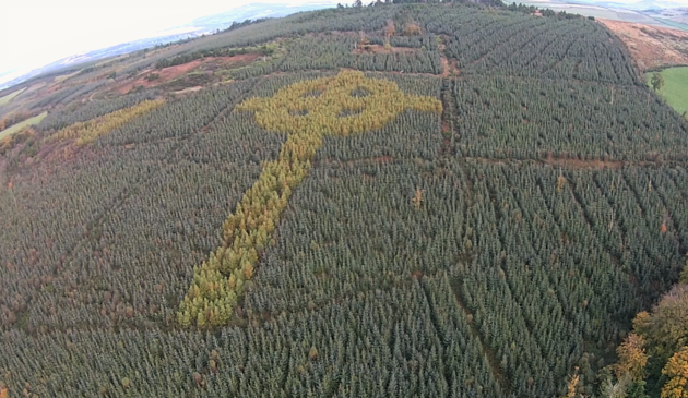 森の中に巨大ケルト十字架、現る！ - ナオコガイドのアイルランド日記