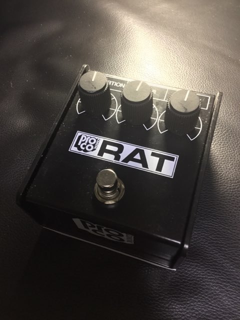 pro co rat white face '85 reissue 2010 | みちしるべ