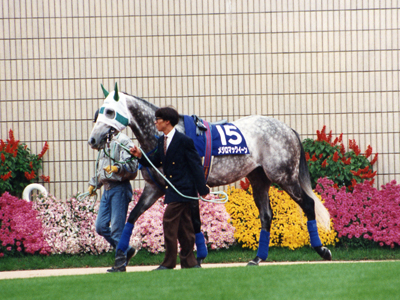 希少♦️武豊メジロマックイーン引退式パネル