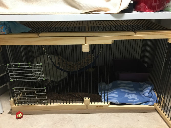 メディカル60 ペットサークル フェレット