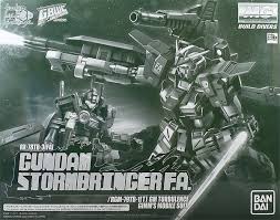 Build Fighters : MG 1/100 RX-78TB-3[FA] Gundam Stormbringer F.A P