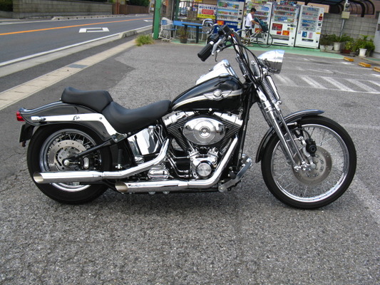 FLSTS 2001年式 キャブ車 外装一式 装飾品多数！ 2025年最新】Yahoo