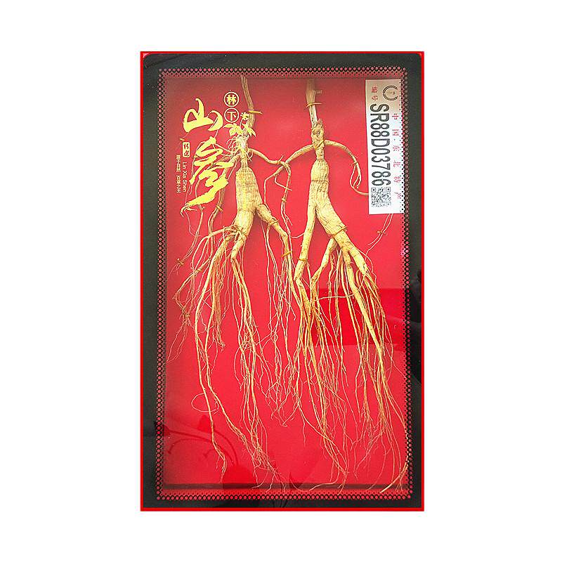 鑑定書付き 中国山参人参 高麗人参 シリアル付き ☆鑑定書付き 中国