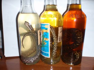 マムシの焼酎