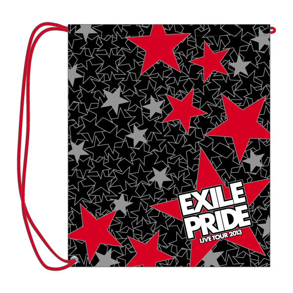 EXILE LIVE TOUR 2013 