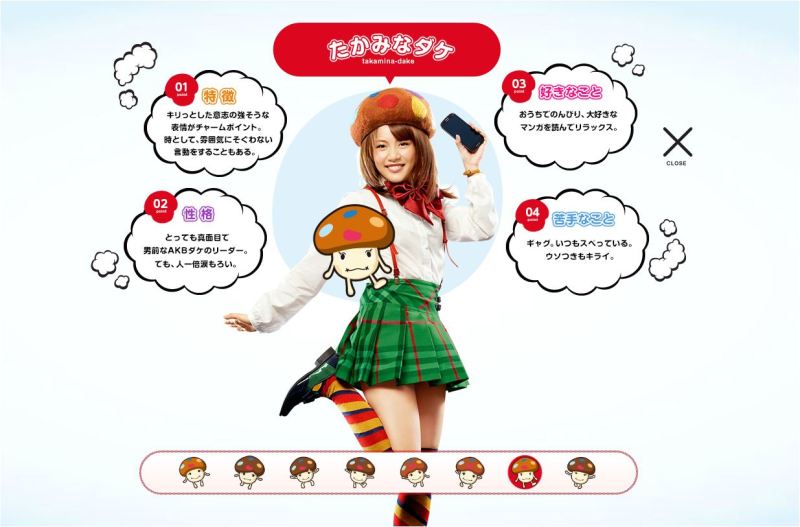 AKB48 NTTドコモ AKBダケの応援学割2013 タペストリー のぼり AKB48