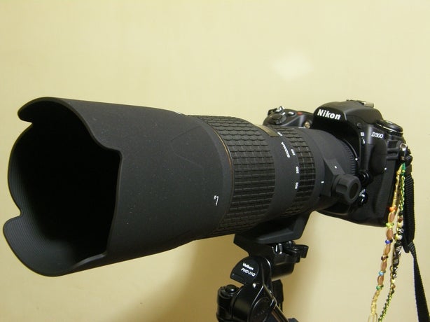 SIGMA APO 100-300mm F4 EX DG HSM | icemic@blog