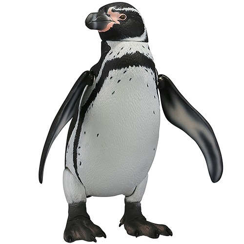 CDJapan : Soft Vinyl Toy Box 011 Penguin [Spheniscus humboldti