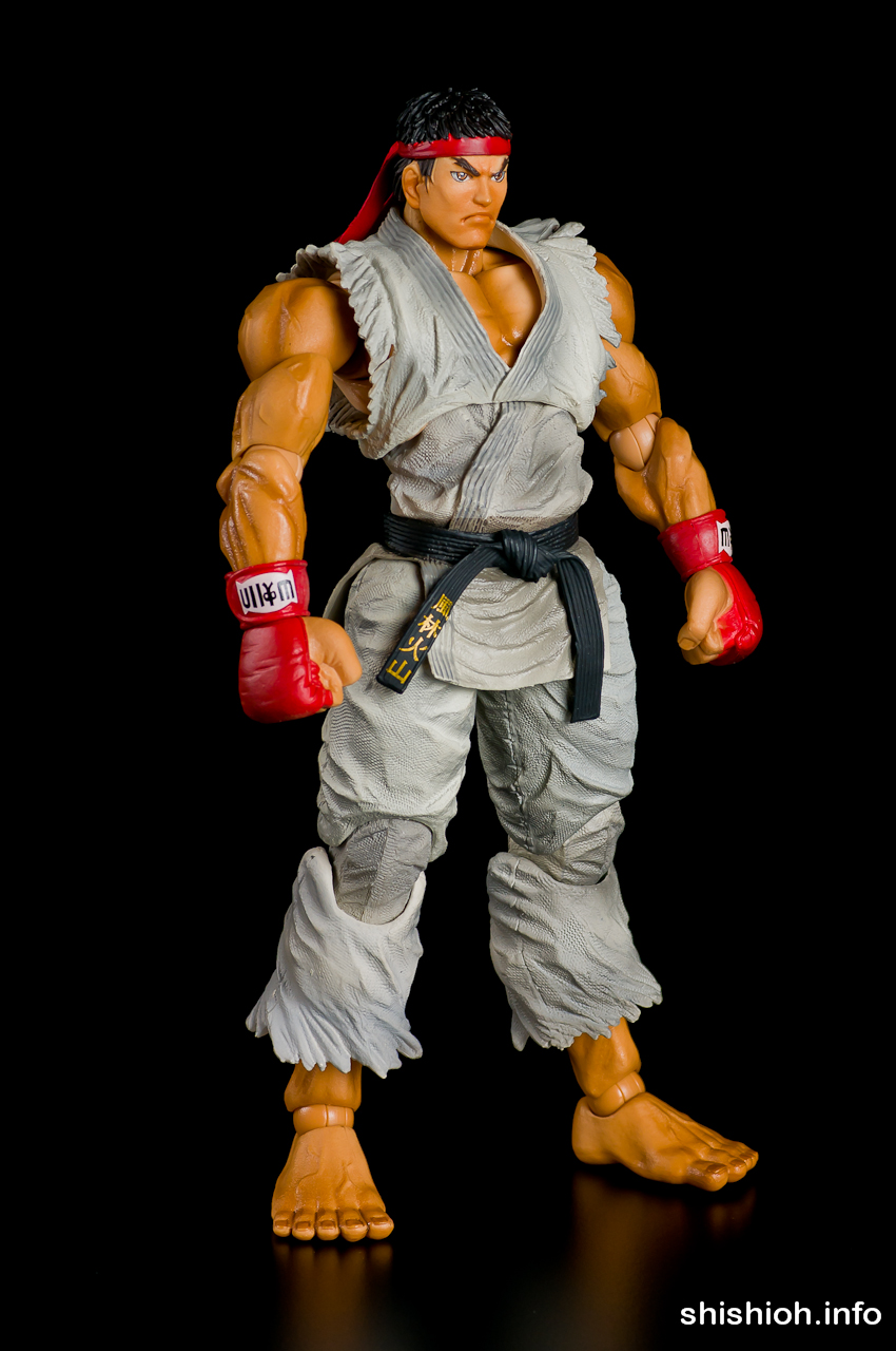 レビュー】 スクウェア・エニックス プレイアーツ改 Vol.1 リュウ