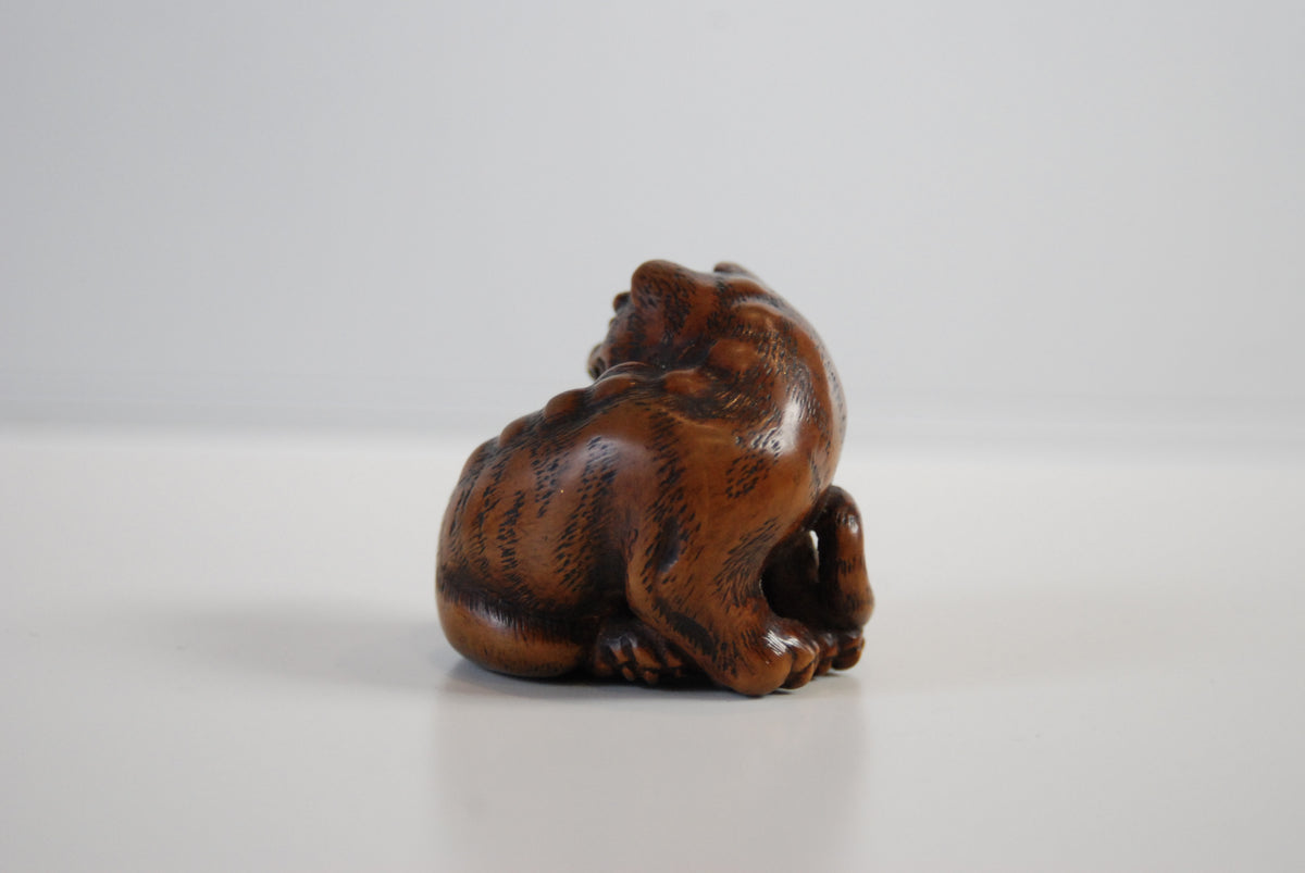 根付(netsuke) 木製トラの根付 正直作 江戸時代 時代 虎根付(黒柿)