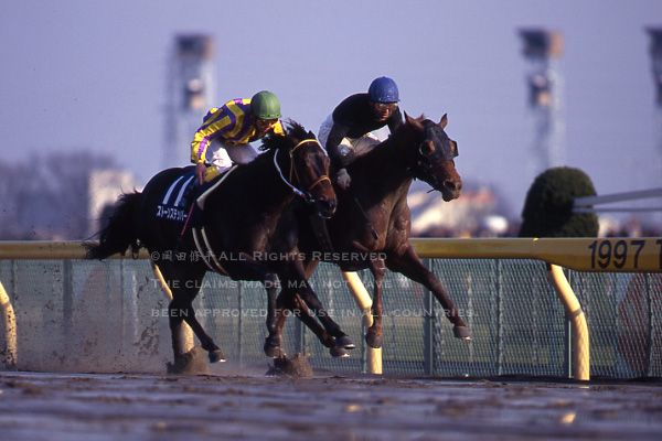 第14回（1997年）フェブラリーS回顧 岡部幸雄騎乗・シンコウ