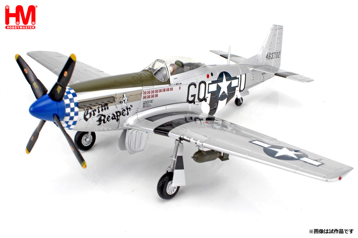 HMホビーマスター人気のP-51D Mustang 1/48 限定版