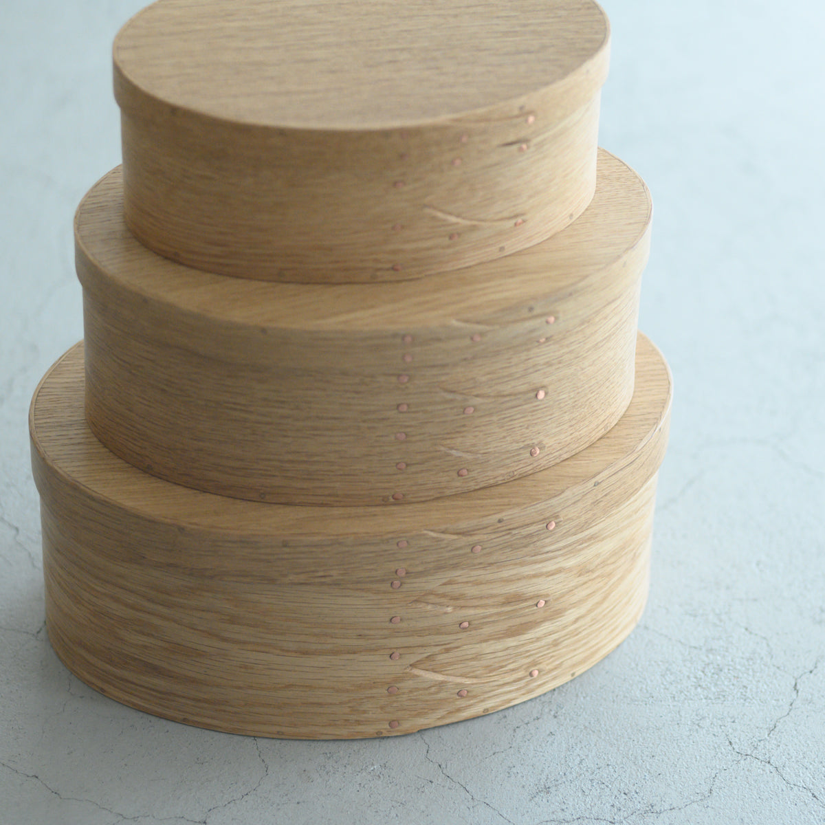 井藤昌志 ifuji MEMORIAL BOX #5 cherry／サクラ