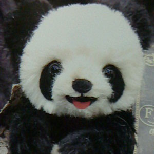 丸山いくこ テディベア レア 丸山いくこ テディベア レア テディベア