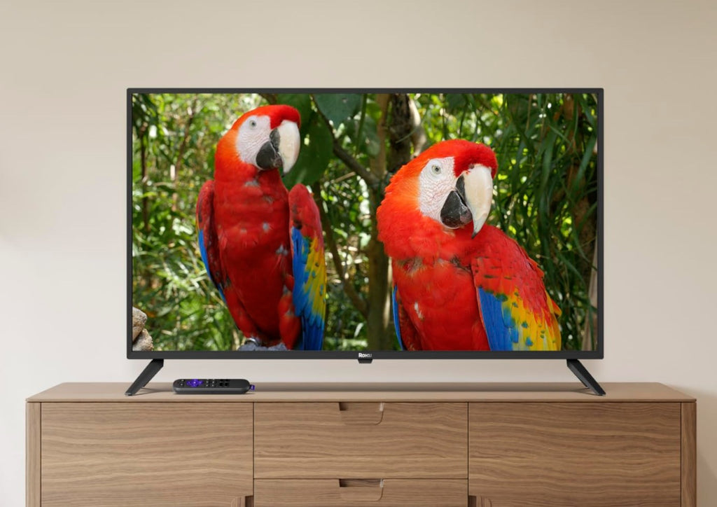 81_hELK5XLL_1024x1024.jpg?v=