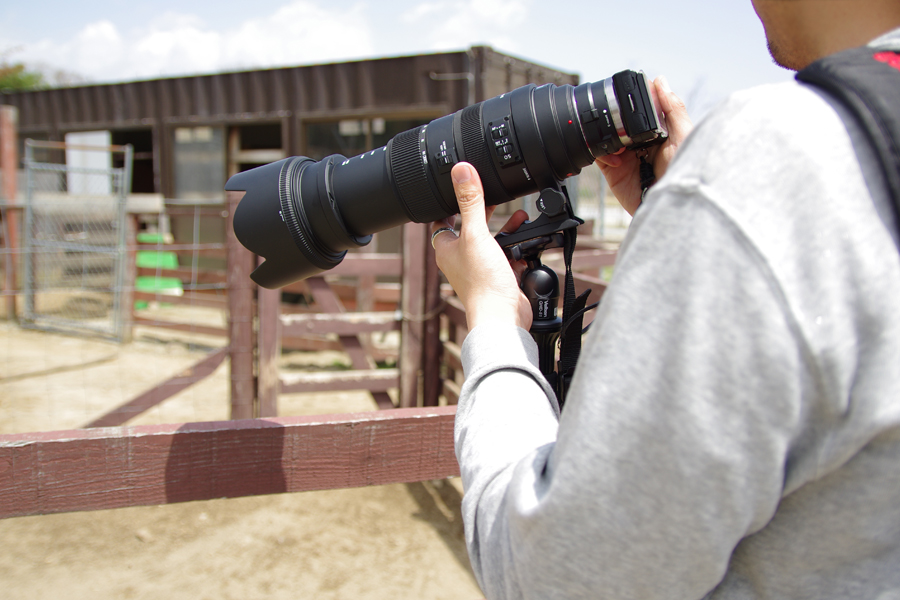 一脚（Velbon ULTRA STICK L50）＆ 自由雲台（Velbon QHD-51）レビュー