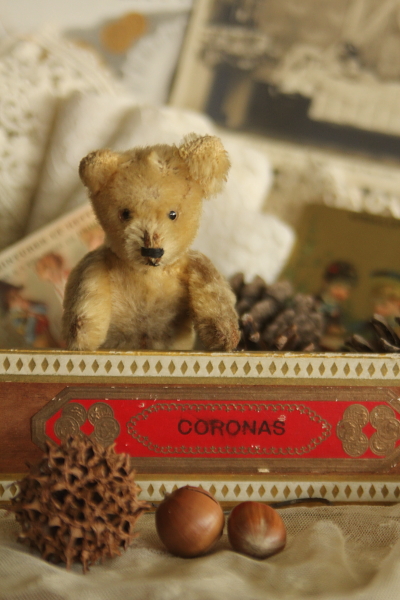 イエスノーシュコー Schucoベア ドイツ シュコー社schuco アンティーク