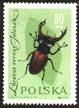 ユーロミヤマを探せ！（第8回）切手に見るユーロミヤマ