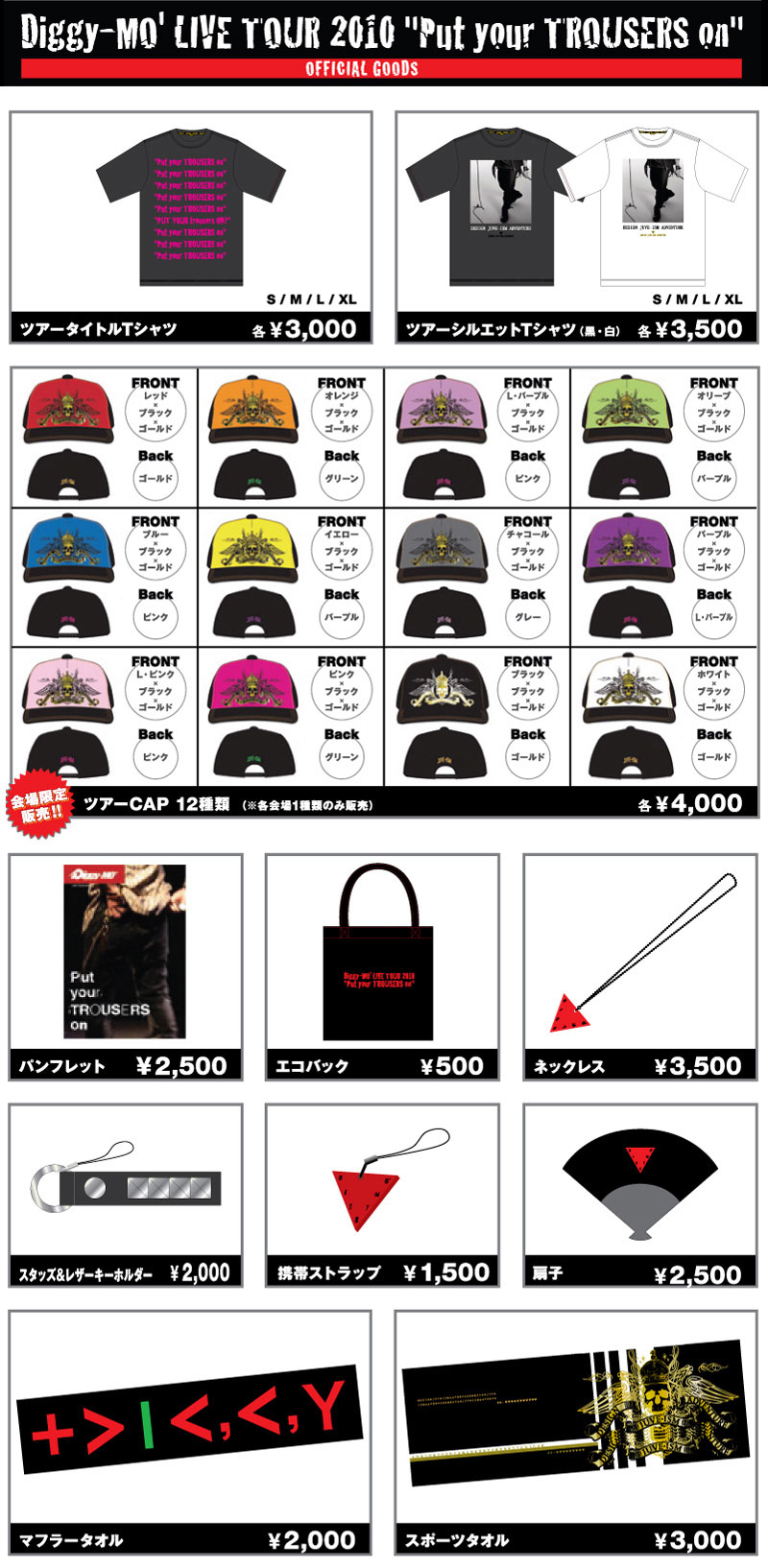 Diggy-MO' LIVE TOUR 2010 ライブ Tシャツ Diggy-MO' TOUR GOODS