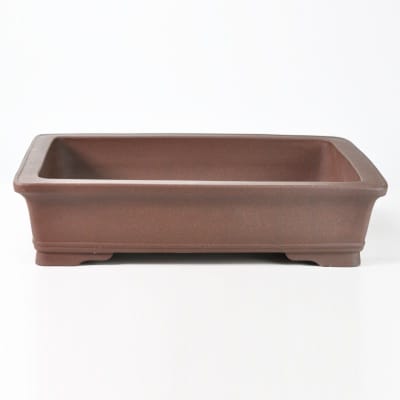 銭号 盆栽鉢 長方 銭号 盆栽鉢 長方