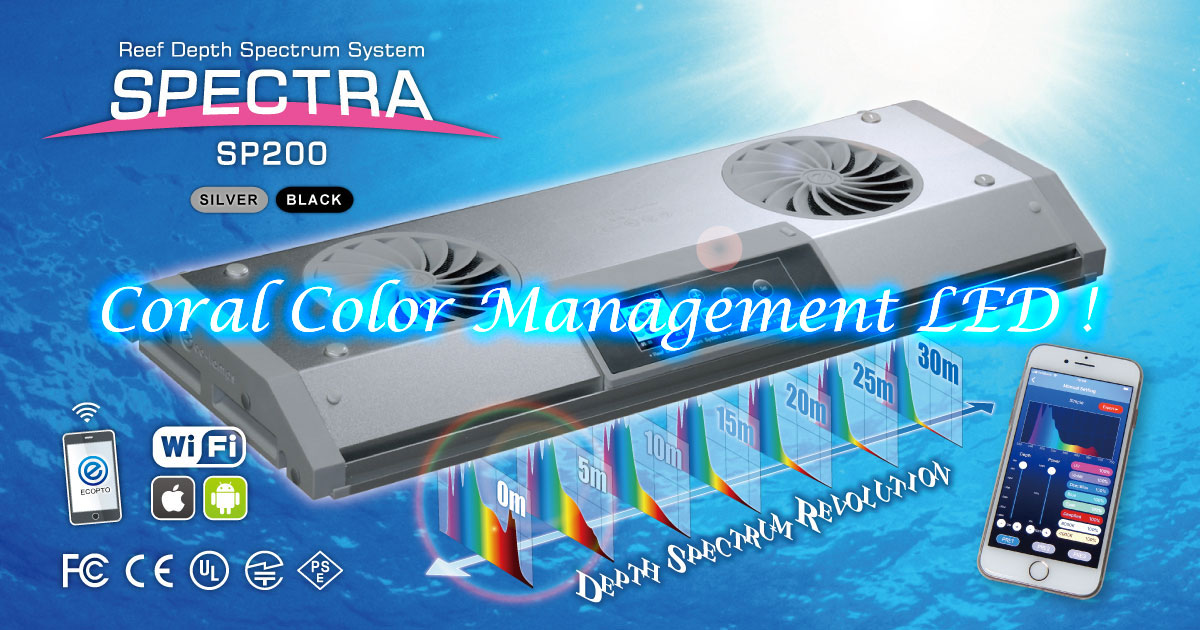 SPECTRA SP200｜BlueHarbor