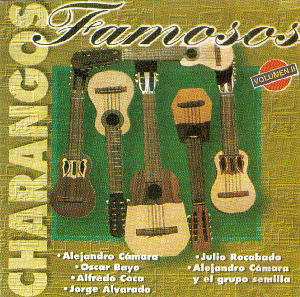 アンデス・フォルクローレ音楽 楽器館「コチャバンバ」