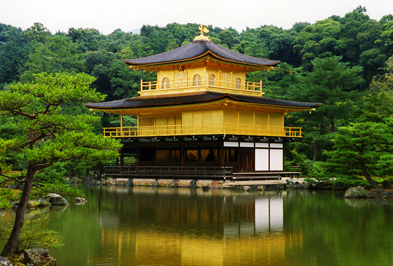 金閣寺 ～西方浄土への旅立ちを待ち続ける老松 | 京都トリビア