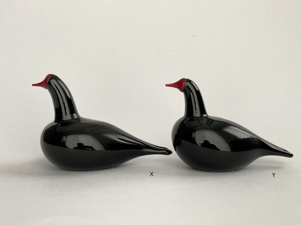 Bald Coot bird by Oiva Toikka Nuutajärvi Birds of Passage Nokikana