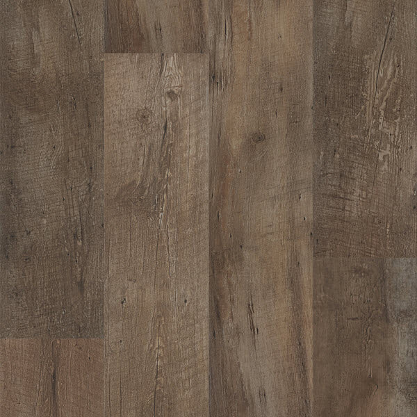 Bella Cera Solution Core Origin FH785741 Chestnut 7